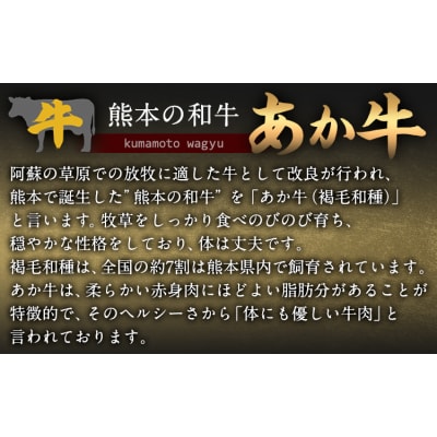 焼肉屋さんのあか牛カレー 600g (200g×3食) 《30日以内に出荷予定(土日祝除く)》 