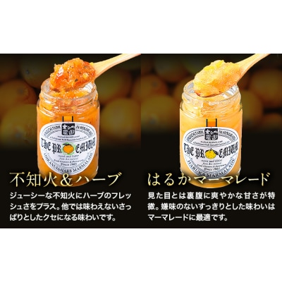木之内農園 プレミアムシリーズ 5本セット 《30日以内に出荷予定(土日祝を除く)》