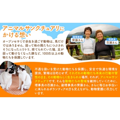 【返礼品なし】引退馬余生支援寄附 300,000円 一般社団法人オープンセサミアライブ
