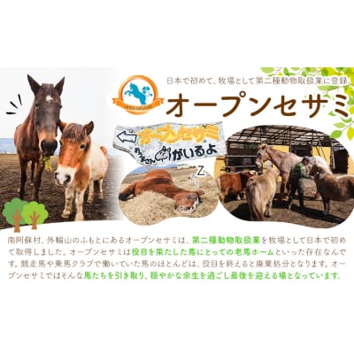 【返礼品なし】引退馬余生支援寄附 1,000,000円 一般社団法人オープンセサミアライブ