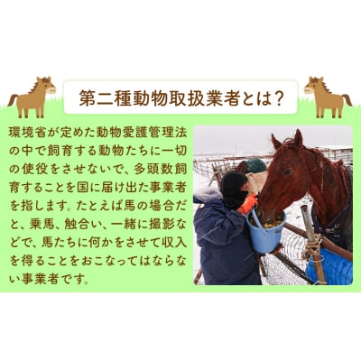 【返礼品なし】引退馬余生支援寄附 1,000,000円 一般社団法人オープンセサミアライブ