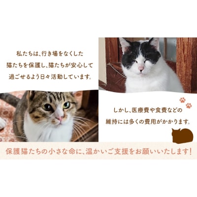 【返礼品なし】保護猫支援寄附 10,500円 一般社団法人オープンセサミアライブ