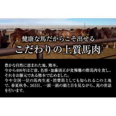 大トロ馬刺し(50g)中トロ(霜降り)馬刺し(50g)《30日以内に出荷予定(土日祝除く)》
