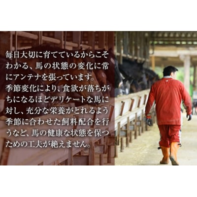 大トロ馬刺し(50g)中トロ(霜降り)馬刺し(50g)《30日以内に出荷予定(土日祝除く)》