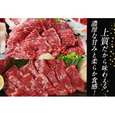 大トロ馬刺し(50g)中トロ(霜降り)馬刺し(50g)《30日以内に出荷予定(土日祝除く)》