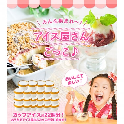 いちご 園 ミルフィーユ アイス 2000ml 《60日以内に出荷予定(土日祝除く)》
