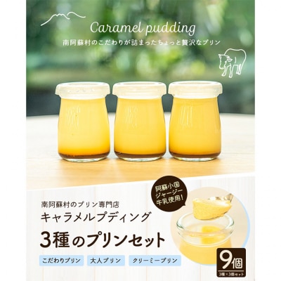 プリン専門店 キャラメルプディング プリン3種×3個セット《60日以内に出荷予定(土日祝除く)》