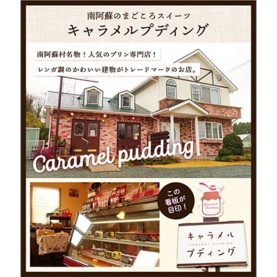 プリン専門店 キャラメルプディング プリン3種×3個セット《60日以内に出荷予定(土日祝除く)》
