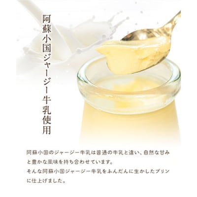 プリン専門店 キャラメルプディング プリン3種×3個セット《60日以内に出荷予定(土日祝除く)》