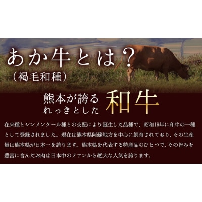 あか牛ヒレステーキ 牛肉 450g (150g x3) 《90日以内に出荷予定(土日祝除く)》