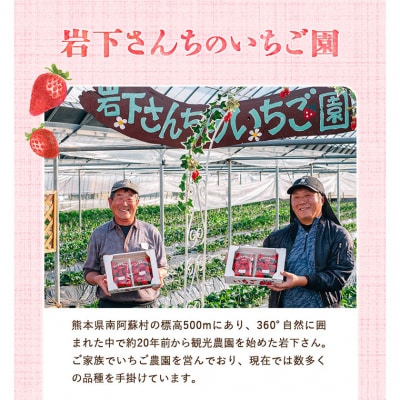 オリジナルミルフィーユ アイス 90ml×12個《60日以内に出荷予定(土日祝除く)》