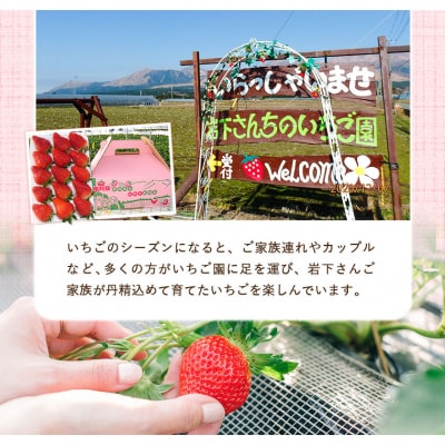 オリジナルミルフィーユ アイス 90ml×12個《60日以内に出荷予定(土日祝除く)》