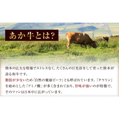 あか牛 赤身 サーロインステーキ 熊本県産 500g《30日以内に出荷予定(土日祝除く)》