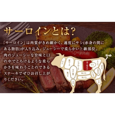 あか牛 赤身 サーロインステーキ 熊本県産 500g《30日以内に出荷予定(土日祝除く)》