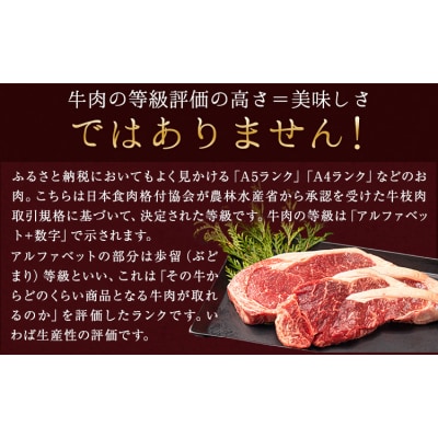 あか牛 赤身 サーロインステーキ 熊本県産 500g《30日以内に出荷予定(土日祝除く)》