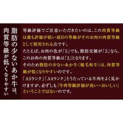 あか牛 赤身 サーロインステーキ 熊本県産 500g《30日以内に出荷予定(土日祝除く)》