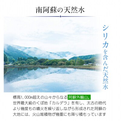 【12か月定期】水 300mlボトル×30本 《お申込み月の翌月から出荷開始》