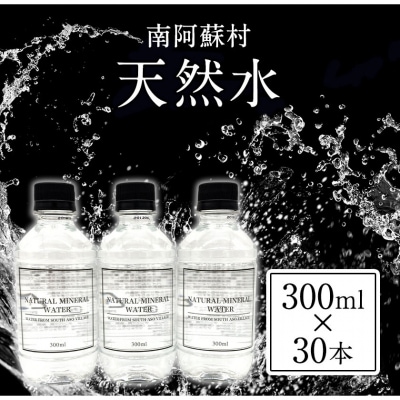 天然水 300mlボトル×30本(スタイリッシュラベル)《30日以内に出荷予定(土日祝除く)》 