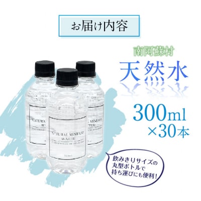 天然水 300mlボトル×30本(スタイリッシュラベル)《30日以内に出荷予定(土日祝除く)》 