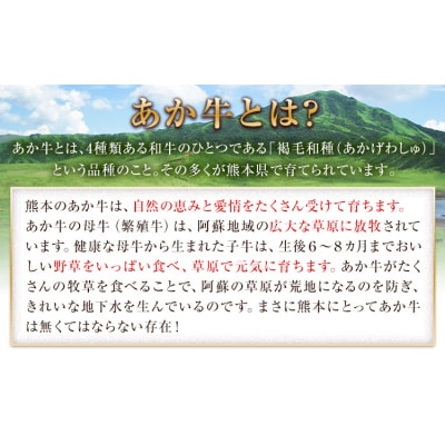 熊本県産あか牛ローストビーフ500g×2個 《30日以内に出荷予定(土日祝除く)》