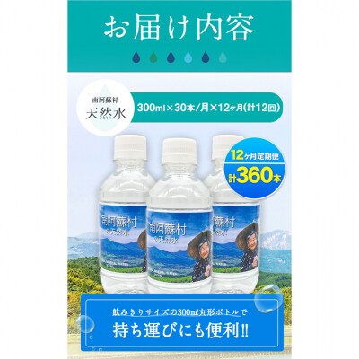 【12か月定期便】水 300mlボトル×30本 《お申込み月の翌月から出荷開始》