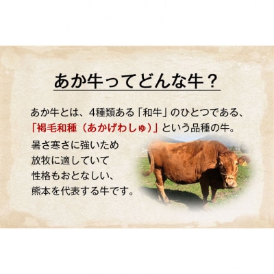 あか牛 角切り煮込み用 600g(300g×2パック) 《60日以内に出荷予定(土日祝除く)》