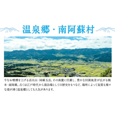 宿を選べる南阿蘇ペア平日1泊2食付き宿泊券/梅プラン《30日以内に出荷予定(土日祝除く)》