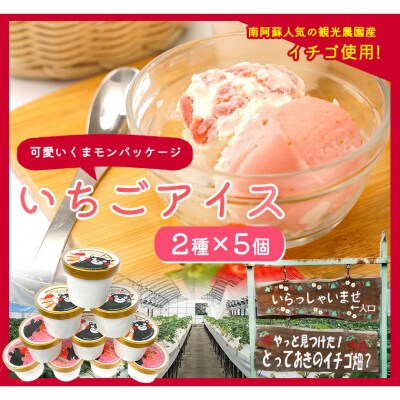 いちご アイス 2種×5個セット 《30日以内に出荷予定(土日祝除く)》
