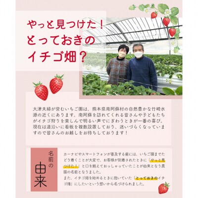 いちご アイス 2種×5個セット 《30日以内に出荷予定(土日祝除く)》