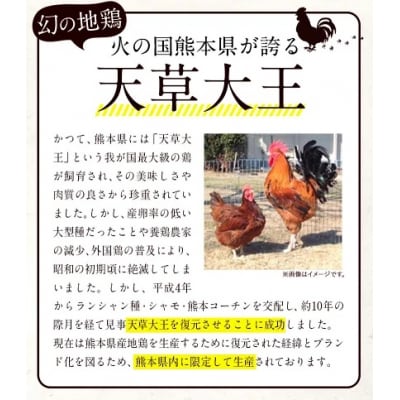 天草大王大手羽セット 4本入り 約650g以上 《45日以内に出荷予定(土日祝除く)》
