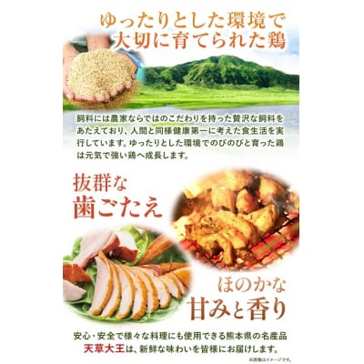 天草大王大手羽セット 4本入り 約650g以上 《45日以内に出荷予定(土日祝除く)》