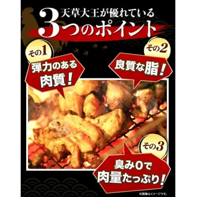 天草大王大手羽セット 4本入り 約650g以上 《45日以内に出荷予定(土日祝除く)》