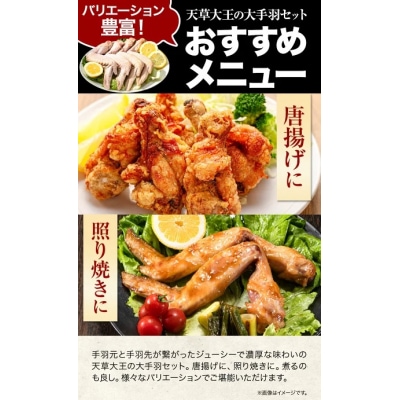 天草大王大手羽セット 4本入り 約650g以上 《45日以内に出荷予定(土日祝除く)》