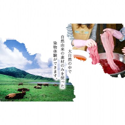 染物体験 (染めたいものを持参) 香房やまぶどう《30日以内に出荷予定(土日祝除く)》