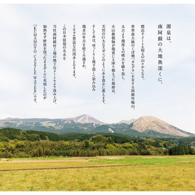 【6か月定期便】KUMAMOTO CASTLE WATER 24本《お申込み月の翌月から出荷開始》