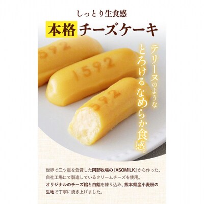 濃厚生 チーズケーキ 1592 ヒゴクニ 16個入り 《30日以内に出荷予定(土日祝除く)》