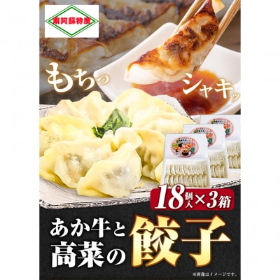 あか牛と高菜の餃子 18個入り×3箱 南阿蘇物産センター《30日以内に出荷予定(土日祝除く)》