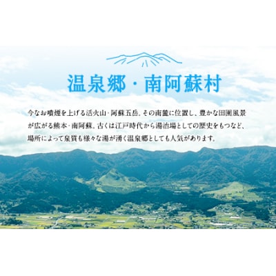 熊本県南阿蘇村10施設で使える宿泊ギフト券30000円分《30日以内に出荷予定(土日祝除く)》