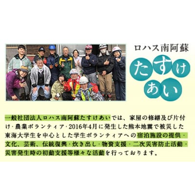 南阿蘇5年保存水 300ml×30本 ロハス 《60日以内に出荷予定(土日祝除く)》