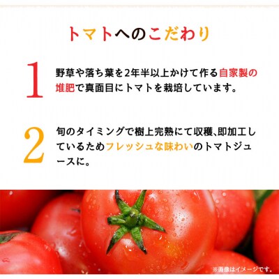 南阿蘇村産甘熟ミディトマト100%ジュース(赤6本セット)《60日以内に出荷予定(土日祝除く)》