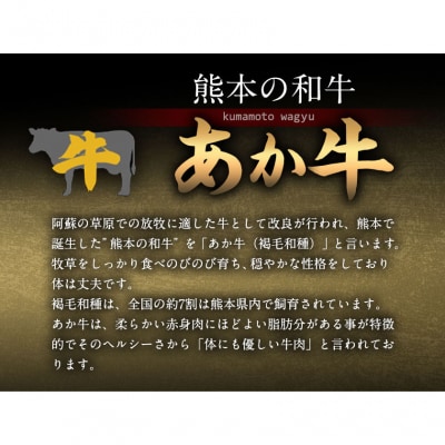 あか牛 上赤身焼肉用 1kg (250g×4個) 白水乃蔵《60日以内に出荷予定(土日祝除く)》 
