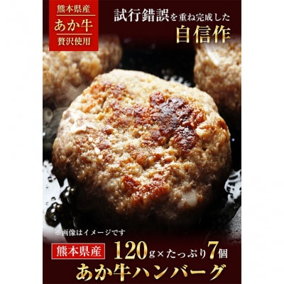 贅沢ハンバーグたっぷり120g×7個入り《7-14日以内に出荷予定(土日祝除く)》