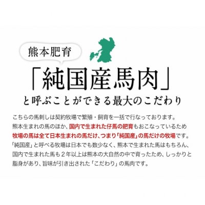 手作りハン馬ーグ 100g×10個 馬肉100%配合!《30日以内に出荷予定(土日祝除く)》