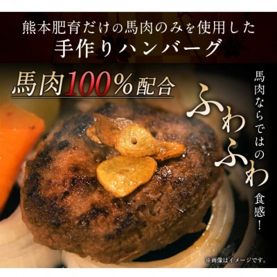 手作りハン馬ーグ 100g×10個 馬肉100%配合!《30日以内に出荷予定(土日祝除く)》