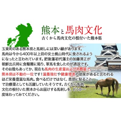 【国内肥育】国産赤身馬刺し320g+タレ100ml付き《30日以内に出荷(土日祝除く)》