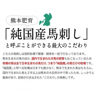 馬刺し 国産 上赤身 100g×9セット《7-14日以内に出荷予定(土日祝除く)》