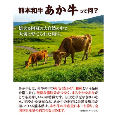熊本和牛あか牛 サーロインステーキ 400g 200g×2《60日以内に出荷予定(土日祝除く)》