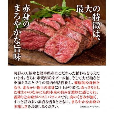 熊本和牛あか牛 サーロインステーキ 400g 200g×2《60日以内に出荷予定(土日祝除く)》