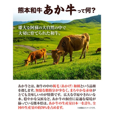 あか牛 餃子 40個 ( 20個 × 2 )  《60日以内に出荷予定(土日祝除く)》 