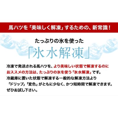 馬ハツ刺し 50g×6ブロック 300g 《10月上旬-12月末頃出荷予定》 